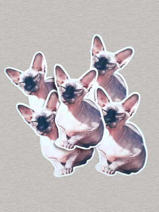 figure stickers - 20